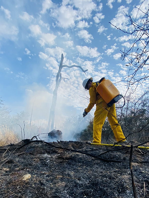 Rolling Pines Fire - Bastrop State Park, Texas - photo 2